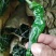 合作社基地货源，线椒，芜湖椒，泡椒，草莓椒，陇椒，薄皮等