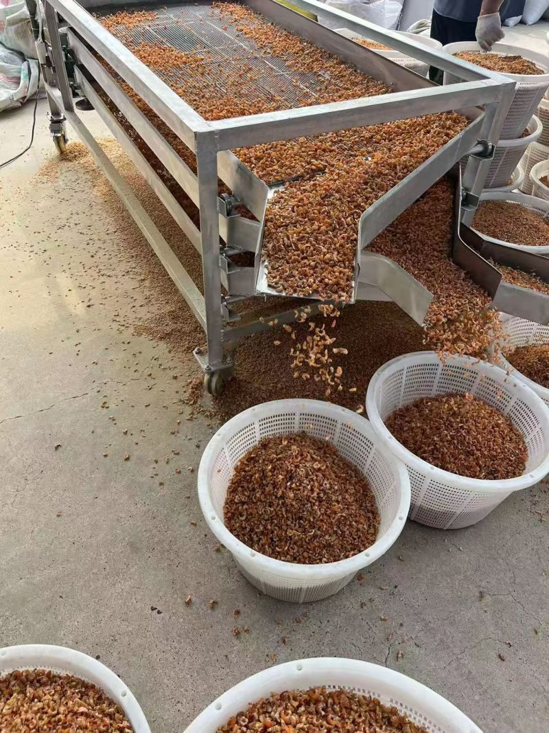 金钩海米虾米大小都有加工户直发大量现货不包运费
