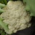 精品有机花菜，小米花大米花，青梗白面，根小叶少，货源充足