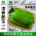 清香脆宝菜瓜种子可凉拌低糖型肉脆多汁基地种植