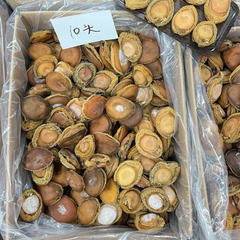 鲍鱼南非干鲍鱼青鲍鱼精选足干鲍鱼香浓郁天然干鲍源头批发