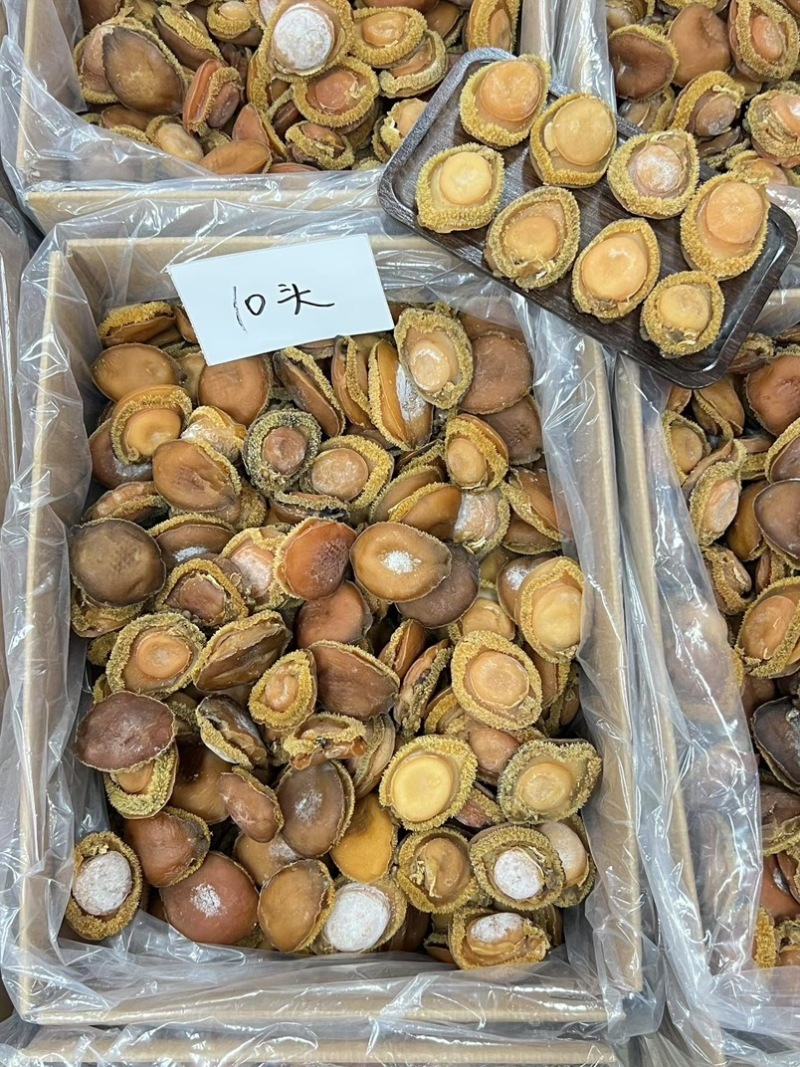 鲍鱼南非干鲍鱼青鲍鱼精选足干鲍鱼香浓郁天然干鲍源头批发