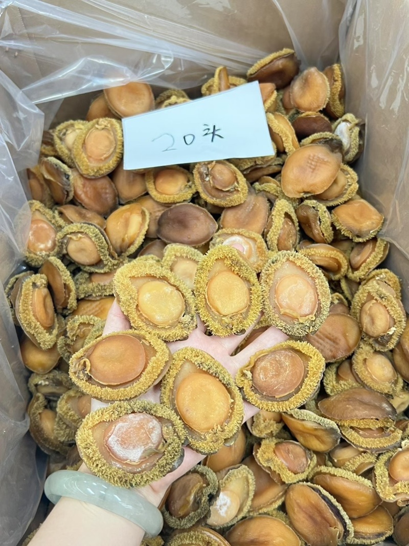 鲍鱼南非干鲍鱼青鲍鱼精选足干鲍鱼香浓郁天然干鲍源头批发