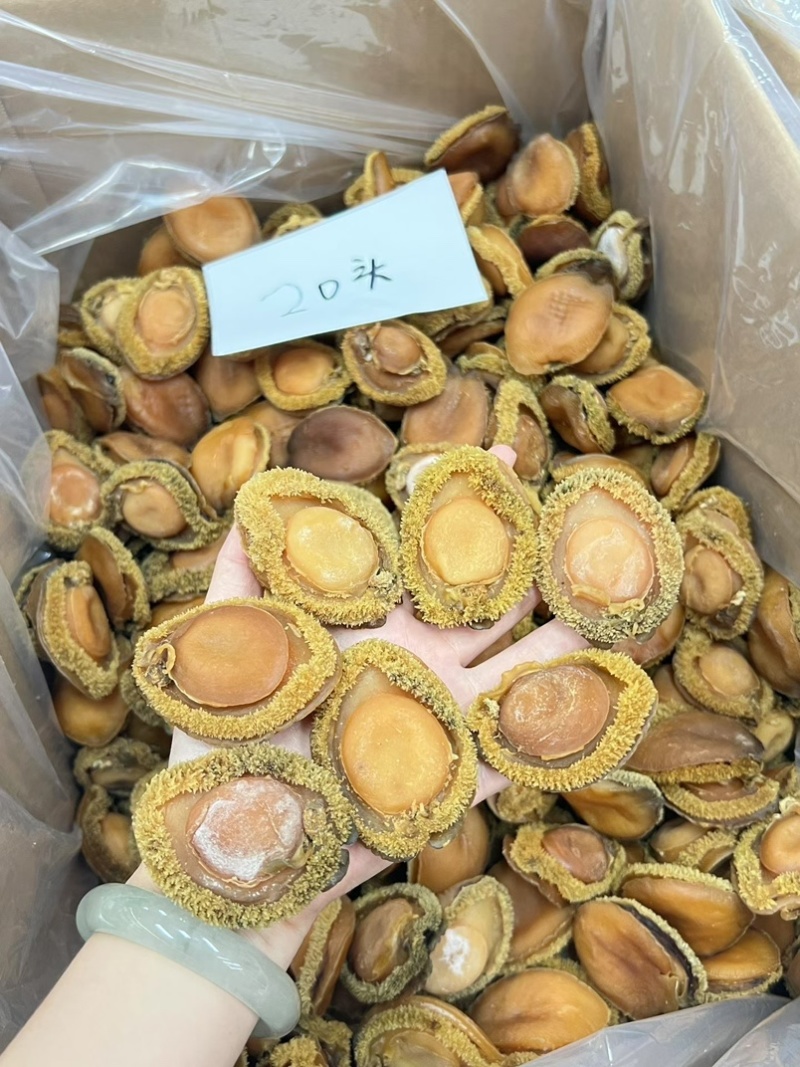 鲍鱼南非干鲍鱼青鲍鱼精选足干鲍鱼香浓郁天然干鲍源头批发