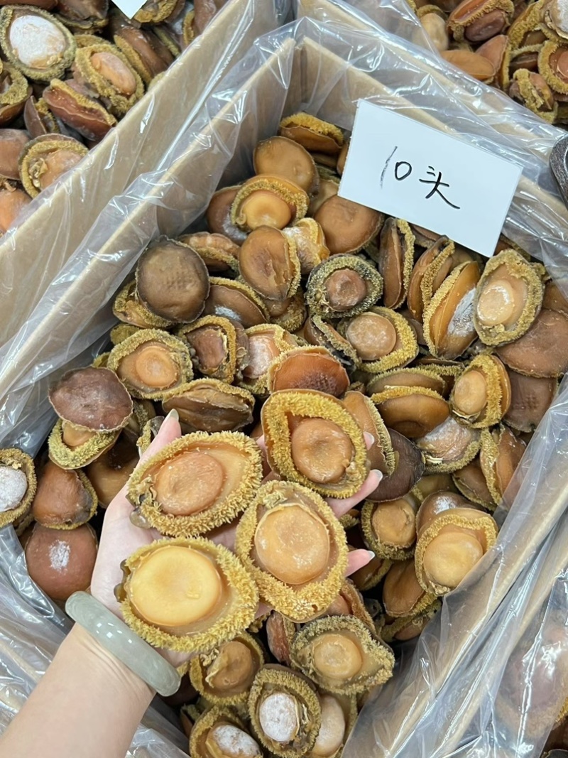 鲍鱼南非干鲍鱼青鲍鱼精选足干鲍鱼香浓郁天然干鲍源头批发