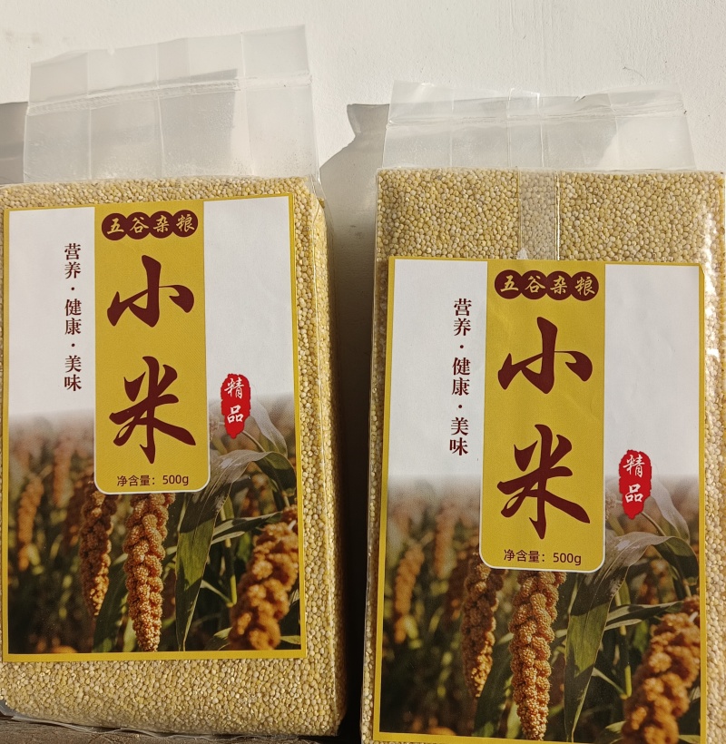 金苗k1