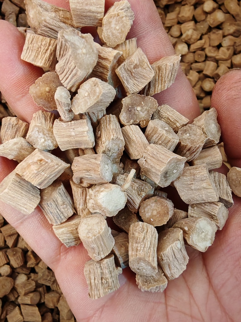 牛膝牛七