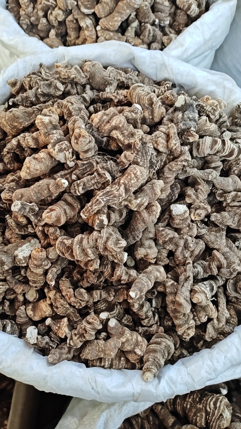 七叶一枝花蚤休重楼