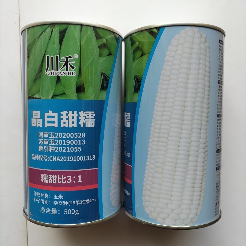 川禾晶白甜糯玉米加甜棒大高产种子