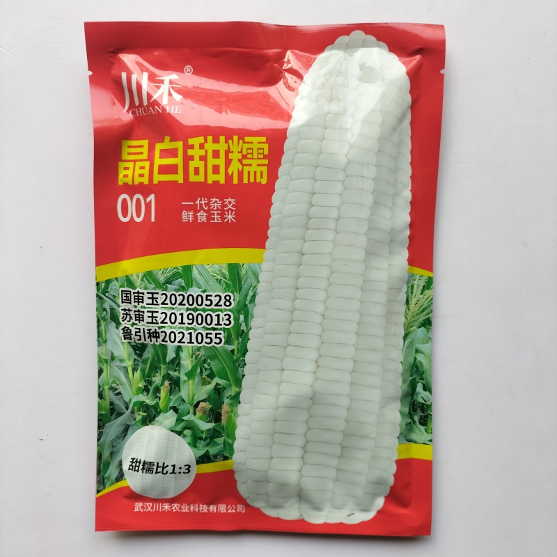 川禾晶白甜糯玉米加甜棒大高产种子