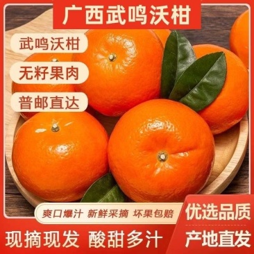 《实力》广西武鸣沃柑基地直发对接全国可一件代发量大从优