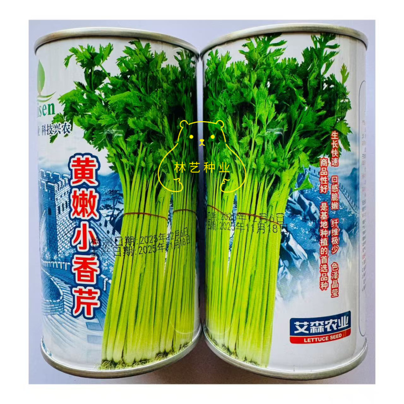 黄嫩小香芹种子四季小芹菜种子高产大田菜园栽培种植