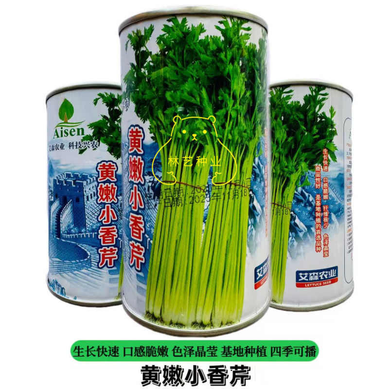 黄嫩小香芹种子四季小芹菜种子高产大田菜园栽培种植