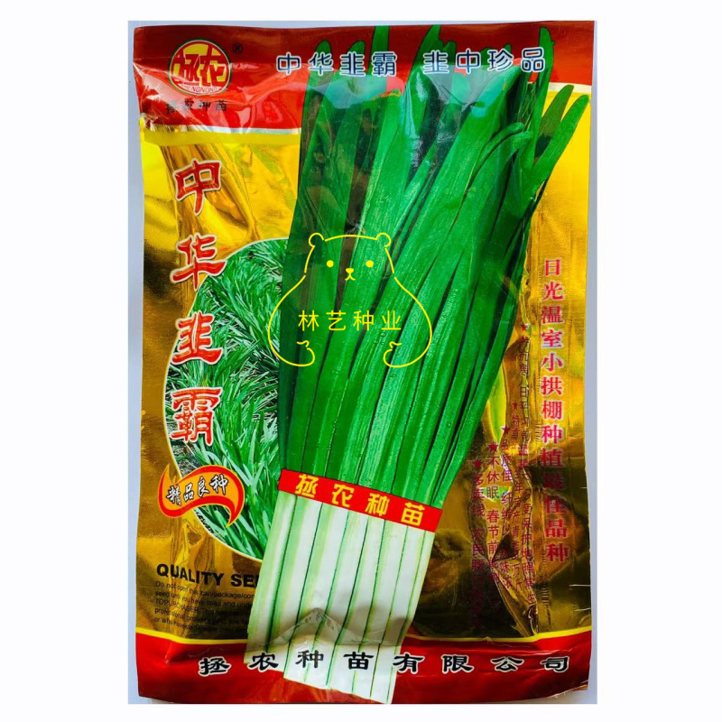 中华韭霸韭菜种子高产耐寒不休眠四季蔬菜种籽农家春秋季韭菜