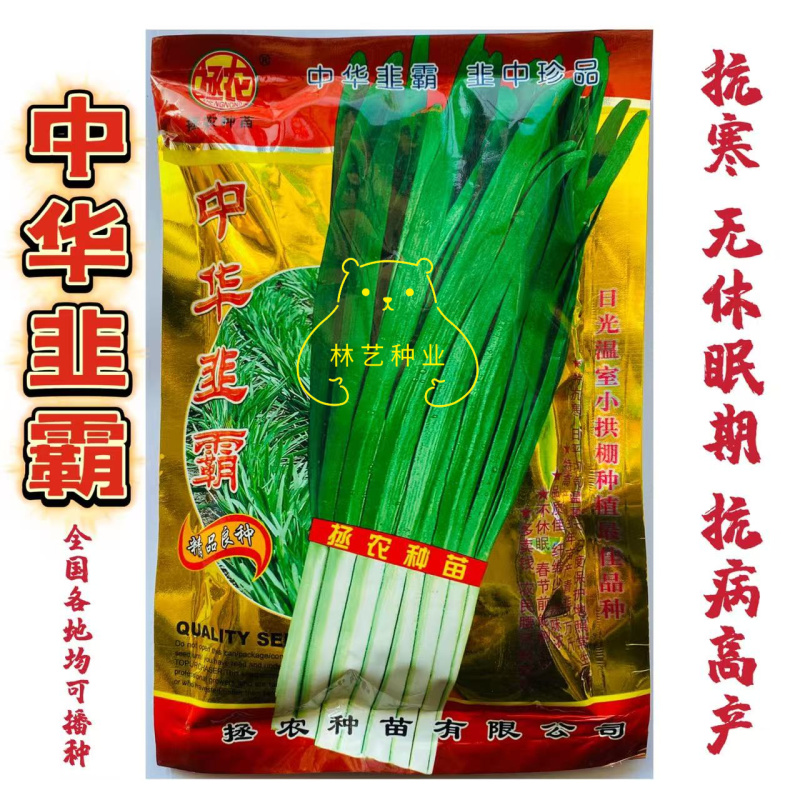 中华韭霸韭菜种子高产耐寒不休眠四季蔬菜种籽农家春秋季韭菜