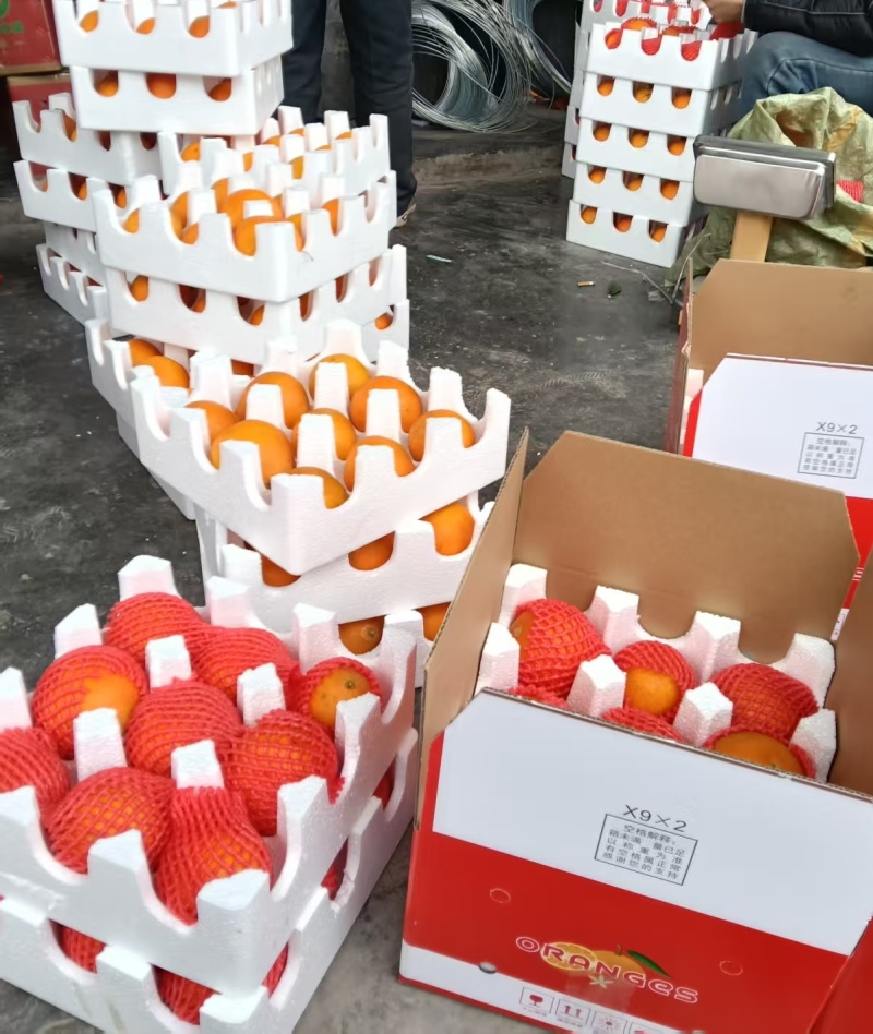 自然成熟耙耙柑，需要的联系我***********