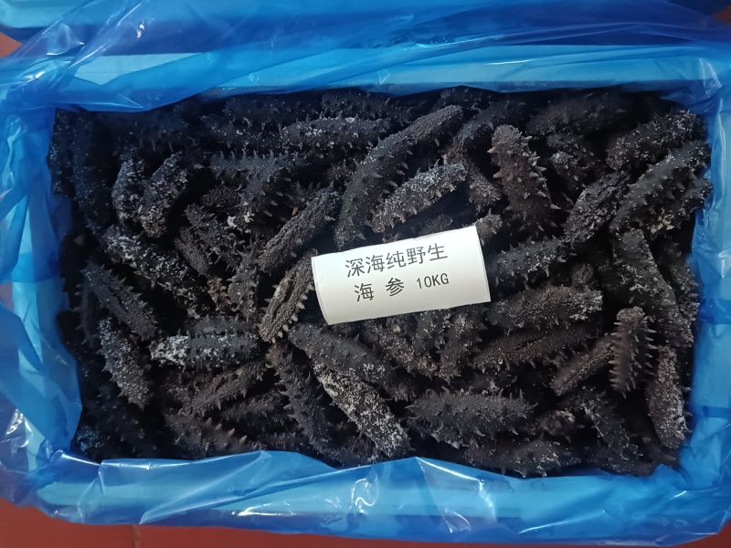 半干海参，拉缸盐海参，盐渍海参，深海捕捞