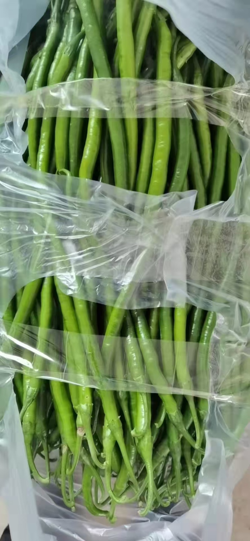 精品辣椒🌶️，线椒，301辣椒