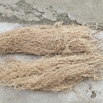 徐长卿规格齐全，品质保证，可视频看货，电联价格可谈