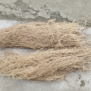 徐长卿规格齐全，品质保证，可视频看货，电联价格可谈