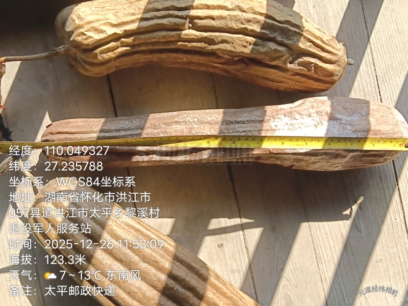 丝瓜络、本人每年产新货、长期实力供应、货源充足！