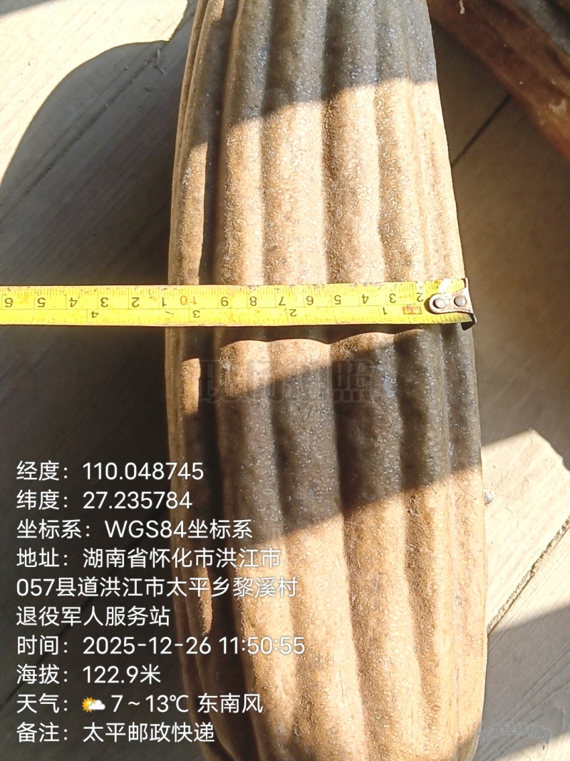 丝瓜络、本人每年产新货、长期实力供应、货源充足！