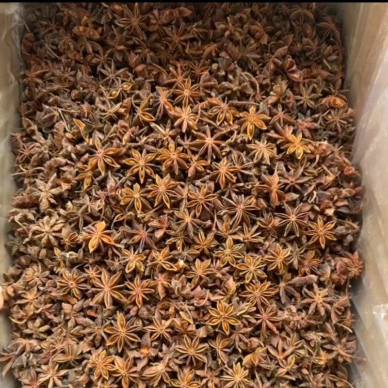 广西古龙大红八角大料国家地理标志产品
