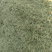 大量出售伸筋草，干货，切段子，个子，色绿，云南货，干货