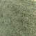 大量出售伸筋草，干货，切段子，个子，色绿，云南货，干货