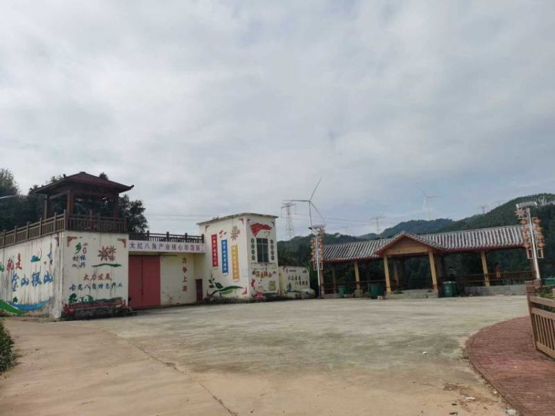 精选广西古龙大红八角，足干无硫纯香浓郁，值得入手