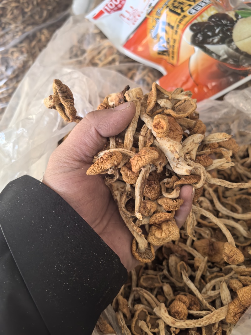 量大有需要的联系质量**