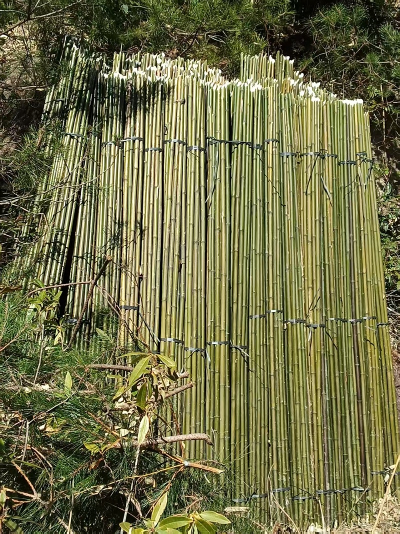 黄金竹竿