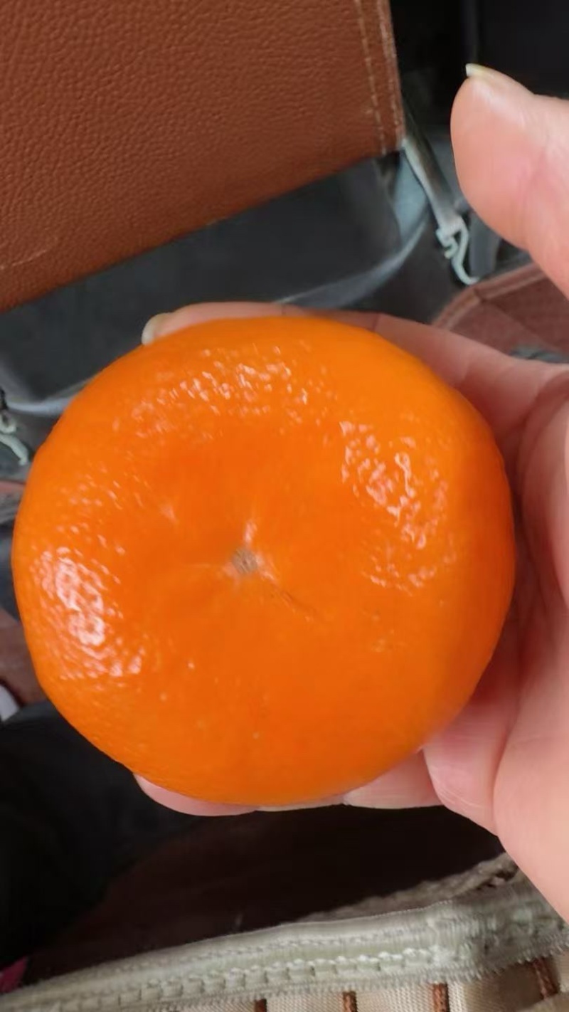 血橙，精品血橙，大量新鲜现货速发，保质保量欢迎选购