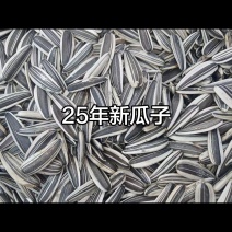 吉林白城田葵1号