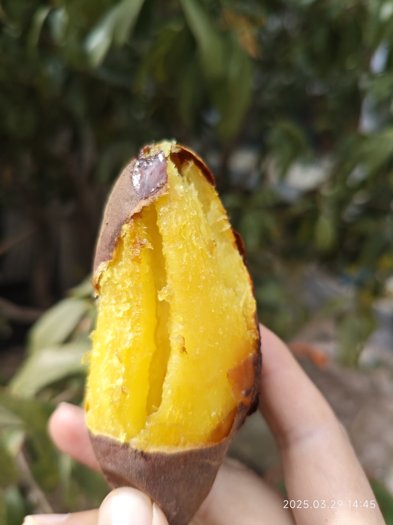 正宗榴莲蜜薯玛莎梨红瑶丝滑