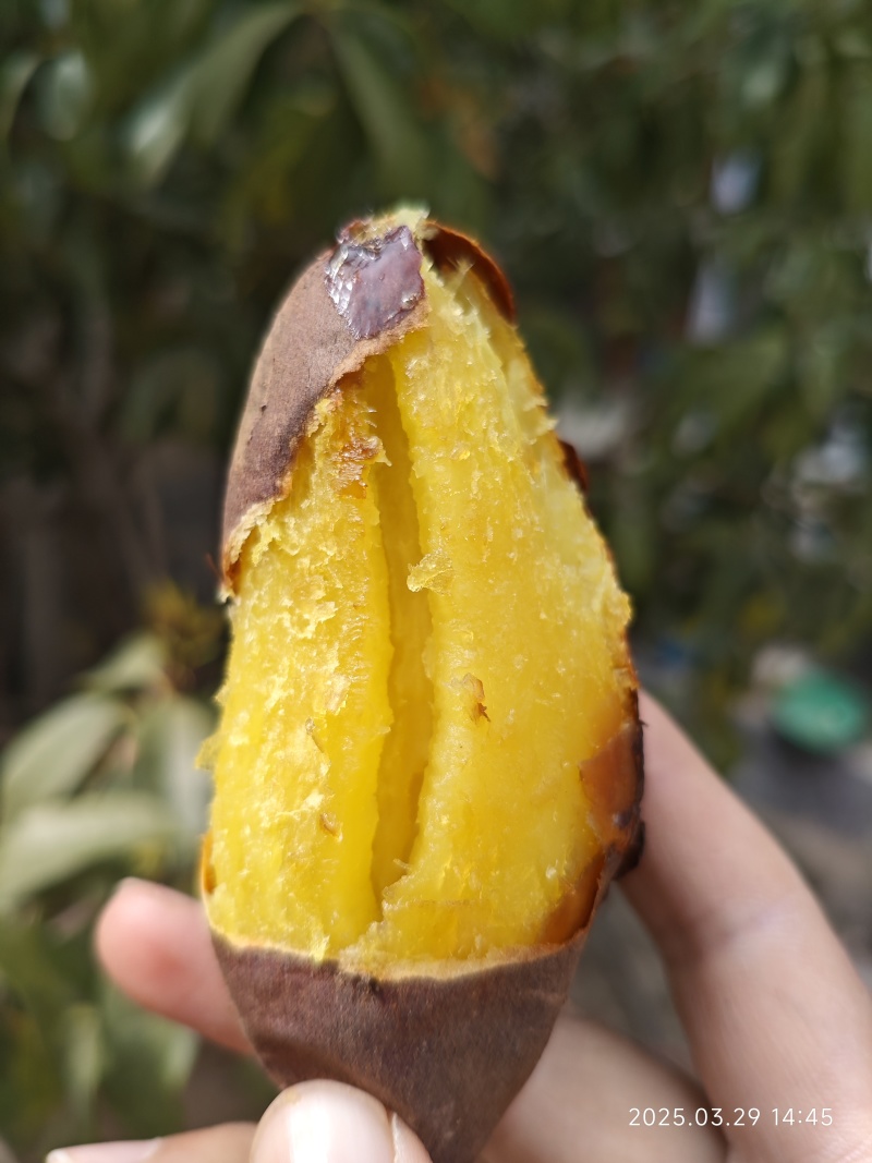 正宗榴莲蜜薯玛莎梨红瑶丝滑