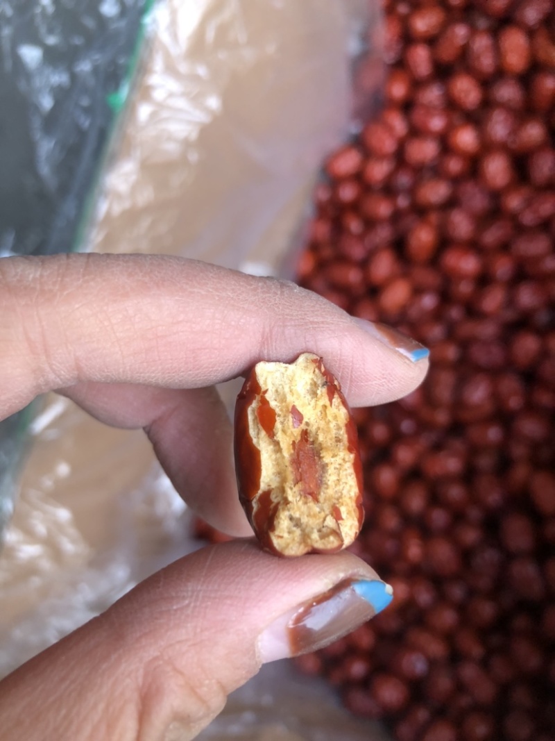 新疆大枣皮皮枣珍珠枣灰枣和田大枣筛选枣