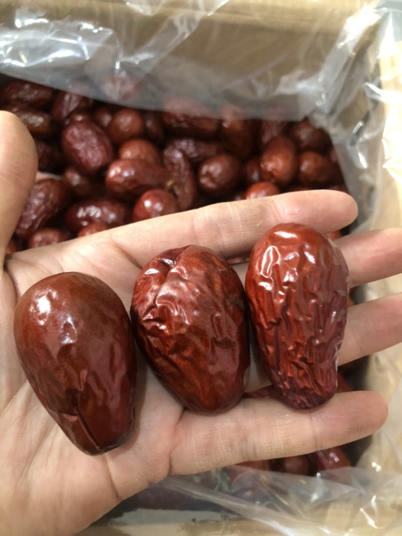 新疆大枣皮皮枣珍珠枣灰枣和田大枣筛选枣