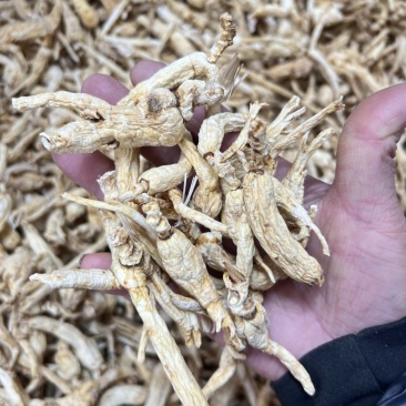 林下参子货打粉料，性价比特别高，打粉，煲汤，泡茶