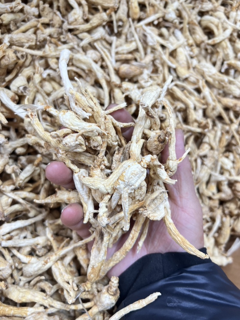 林下参子货打粉料，性价比特别高，打粉，煲汤，泡茶