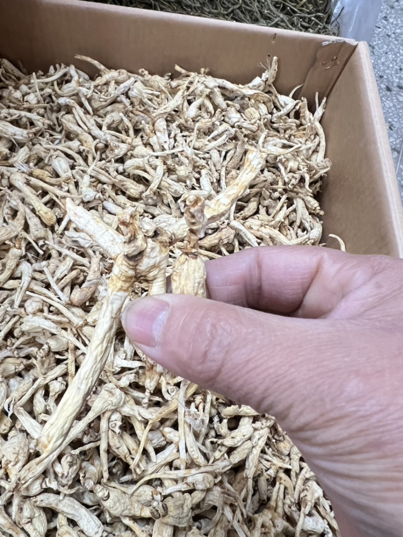 林下参子货打粉料，性价比特别高，打粉，煲汤，泡茶