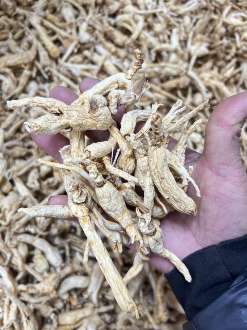 林下参子货打粉料，性价比特别高，打粉，煲汤，泡茶