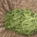 荚豆