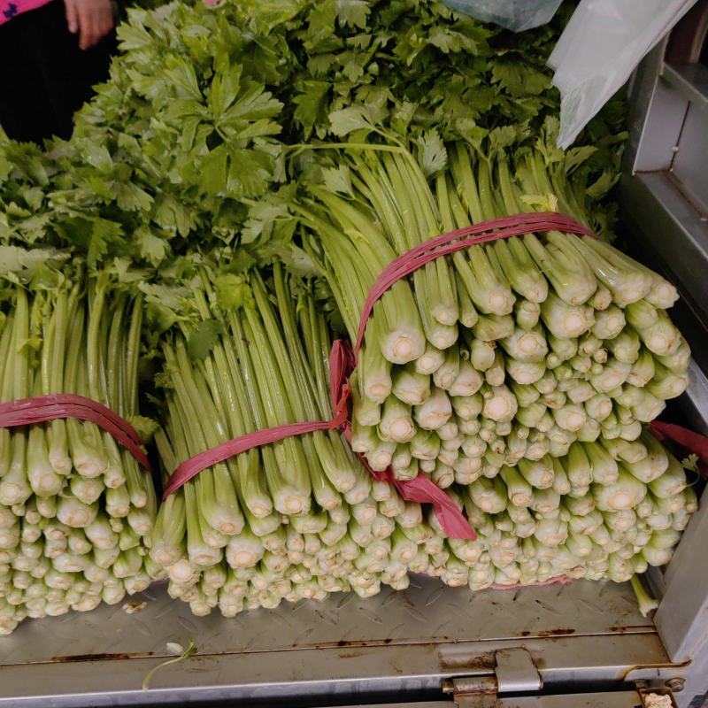 芹菜