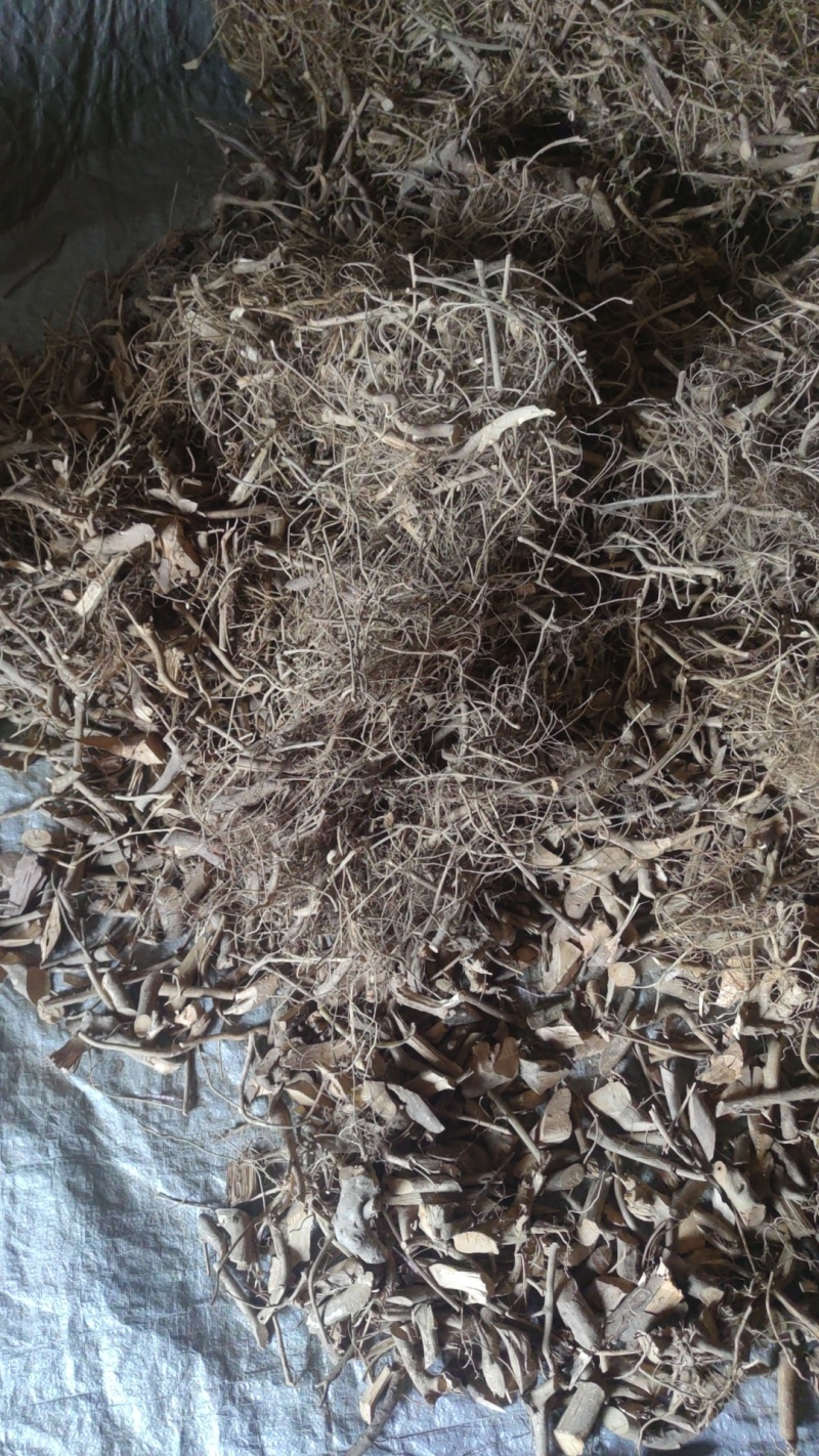 白花牛奶根干货