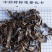地龙，全开广地龙！无杂质，无土！自己加工，量大可优惠。