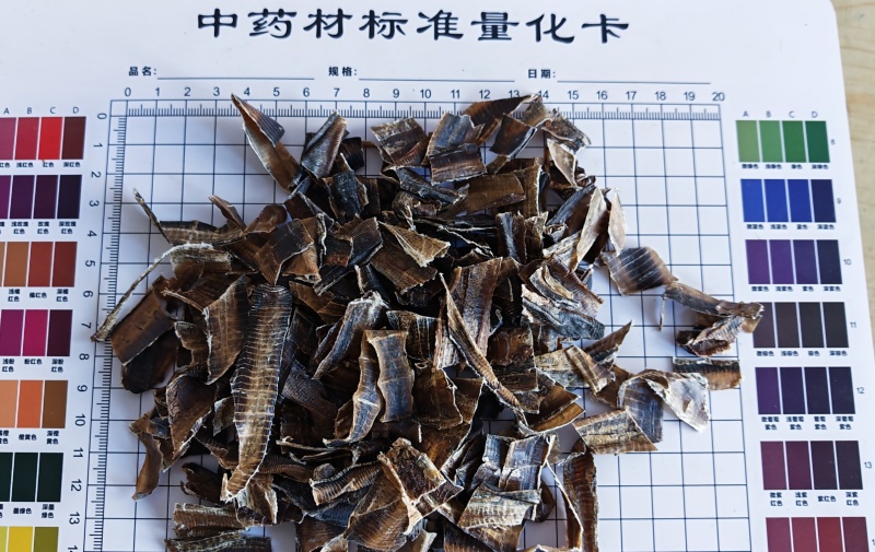 地龙，全开广地龙！无杂质，无土！自己加工，量大可优惠。