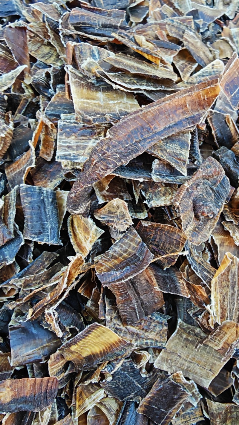 地龙，全开广地龙！无杂质，无土！自己加工，量大可优惠。