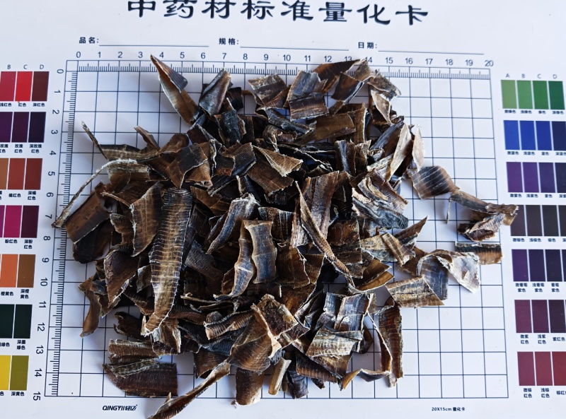 地龙，全开广地龙！无杂质，无土！自己加工，量大可优惠。