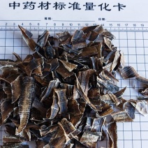 地龙，全开广地龙！无杂质，无土！自己加工，量大可优惠。